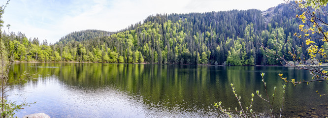 Fototapeta na wymiar Feldsee Panorama Schwarzwald