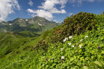 The Caucasus mountains in Georgia, Asia