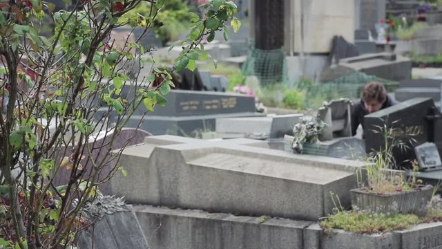 Upset man In Cemetery Behind Bushes. Young man visits a tomb in a cemetery and gets sad on his knees