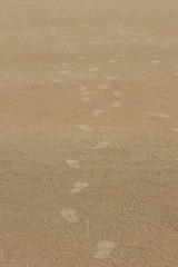 Footprint on sand beach