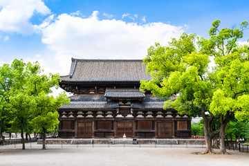 京都　世界遺産　東寺　金堂