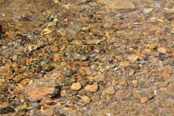 Mountain river's waves. Rocks under the water