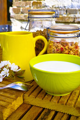 Healthy breakfast with milk and cereals in the garden