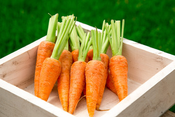 Fresh carrots at wooden box