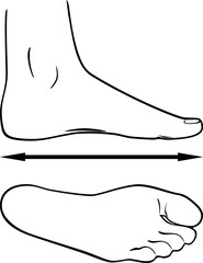 Black and white outline of the foot