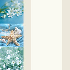 Fototapeta na wymiar Postcard with wildflowers, seashells and starfish with space for text. Concept of vacation, relaxation, travel.