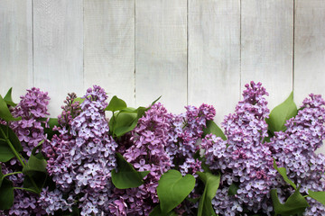 Lilac blossom Mockup on rustic wooden background