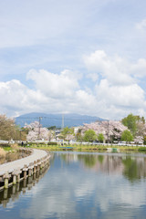 Fototapeta premium Spring Kadoike Park