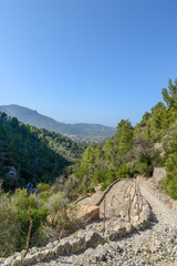 Fototapeta na wymiar hiking path in the beautiful nature of mallorca