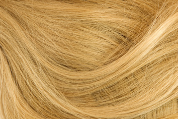 Fototapeta premium Women's natural blonde hair background 