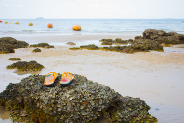 Shoes on stone at the beach, sea background Pattaya thailand