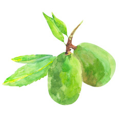 almonds on a white background, nuts isolated, watercolor illustration