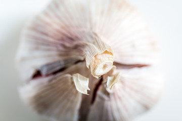 garlic close up macro