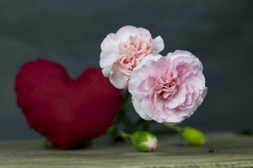 Carnations and Heart