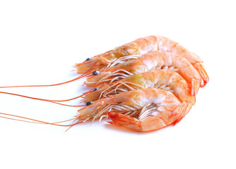 some shrimps on a white background