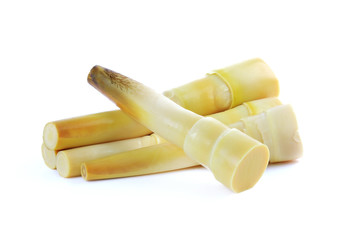 boiled bamboo shoots isolate on white background