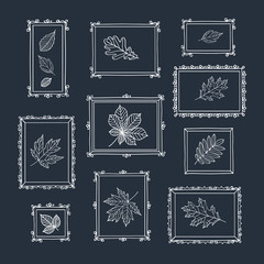 Set of autumn leaves of different tree species. Autumn leaves with vintage frames are drawn with chalk on the black chalkboard.
