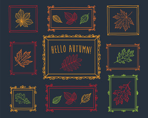 Hello autumn! Set of autumn leaves of different tree. Autumn leaves with vintage frames are drawn with color chalk on the black chalkboard. Sketch, design elements. Vector illustration.