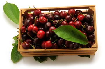 སེའུ། كرز आलूबालू சேலாப்பழம் Třešně Κεράσι Բալ 樱 Cereza Ciliegia كريز 버찌 Cerise Kers Вишня плод Ciliege Körsbär Cherry Kirsebær frugt Kirsuber Čerešňa plod