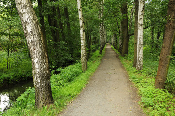 Wanderweg im Spreewald