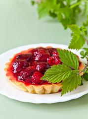 raspberry pie and green twig
