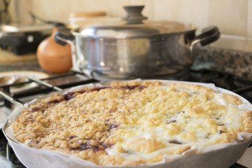double kind of sbriciolata tart: chocolate and ricotta cheese