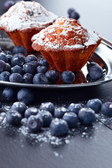 cupcake with blueberry
