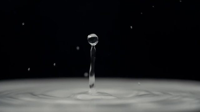 Water Drops on black background.
Slow motion stock footage shot in 240 fps.