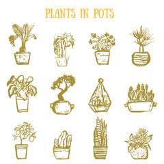 A set of colorful pots of flowers in grunge hand drawn style. Cactuses, lemon tree, calla lily, bamboo in pots. Vector illustration