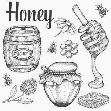 Honey jar, barrel, spoon, bee, honeycomb, chamomile, clover, vintage vector set. Engraved organic food hand drawn sketch illustration.