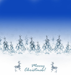 Winter Forest. Winter landscape. christmas card