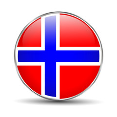 Norway Flag vector