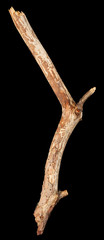 Stick