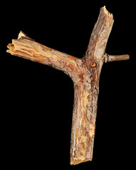 Tree stick