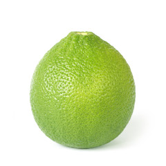 single lime on white background