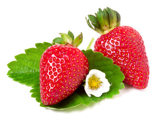 two strawberries with flower and leaves isolated on white background