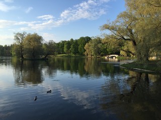 Озеро в Гатчинском парке © trofotodesign