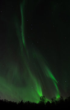 Green aurora drifts across the night sky