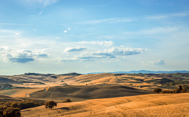 Fototapeta na wymiar Tuscan hills