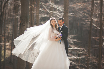 Gorgeous wedding couple kissing and hugging in forest with big rocks