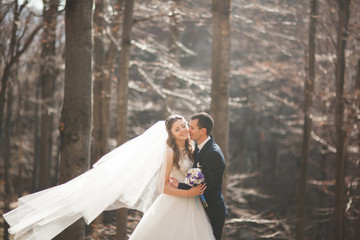 Gorgeous wedding couple kissing and hugging in forest with big rocks