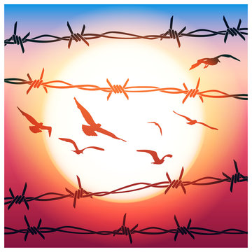 barbed wire and flying birds