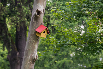Colorful bird house in the forest
