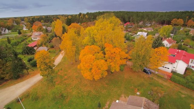 Aerial shot of the trees and houses in Kasmu. KĆ&curren;smu is a village in Vihula Parish LĆ&curren;Ć&curren;ne-Viru County in northern Estonia on the territory of Lahemaa National Park