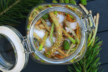 Pine sprouts syrup