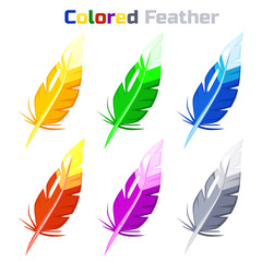 Colored Feather, isolated on white background.