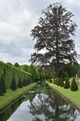 Le canal inférieur et son arbre majestueux sous un ciel couvert aux Jardins d'Eau d'Annevoie