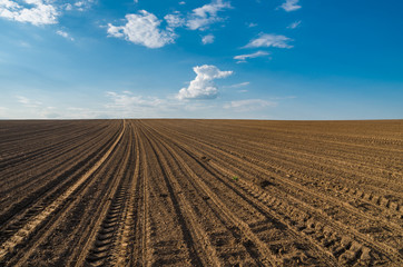 Plowed brown field under blue sky