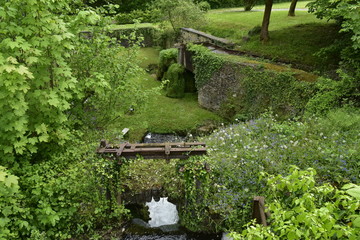 Végétation sauvage près de l'ancien moulin à eau à côté des Jardins d'Eau d'Annevoie