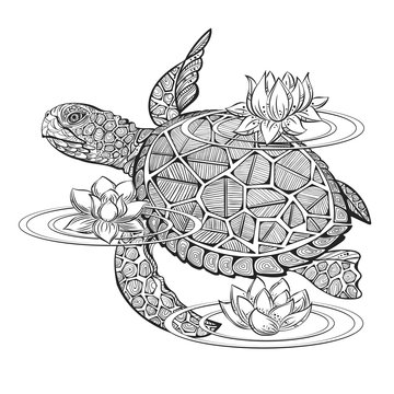 vector sea turtle